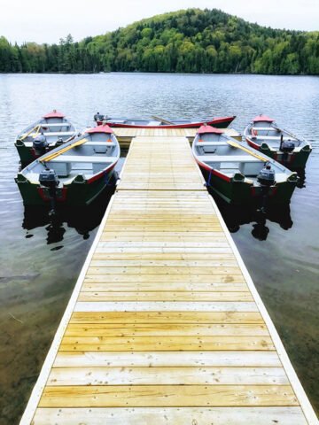 Chalet Le Héron Cabin