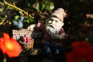 gnome en forêt
