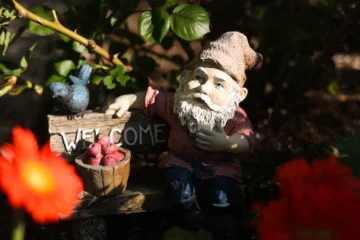 gnome en forêt