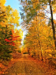 Camp Le Renard Cabin