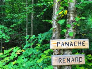 Camp Le Renard Cabin