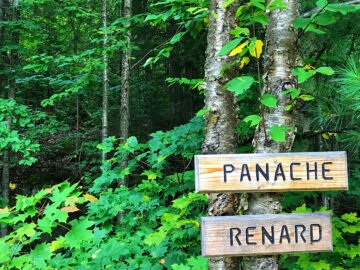 Camp Le Renard Cabin