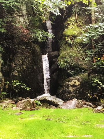 Camp Le Renard Cabin