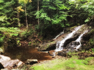 Camp Le Renard Cabin