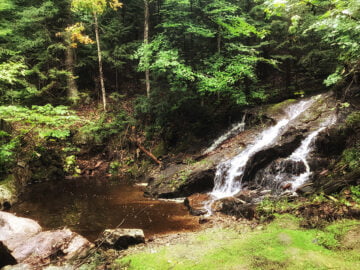 Camp Le Renard Cabin