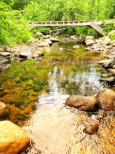 Camp Le Renard Cabin