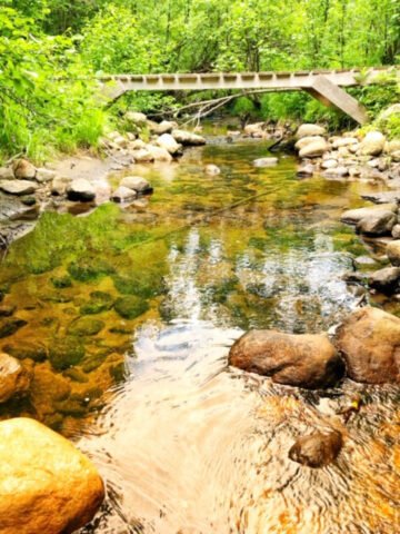 Camp Le Renard Cabin